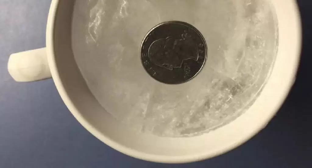 moneta congelatore